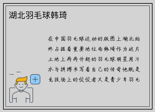 湖北羽毛球韩琦