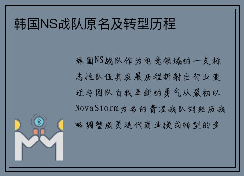 韩国NS战队原名及转型历程